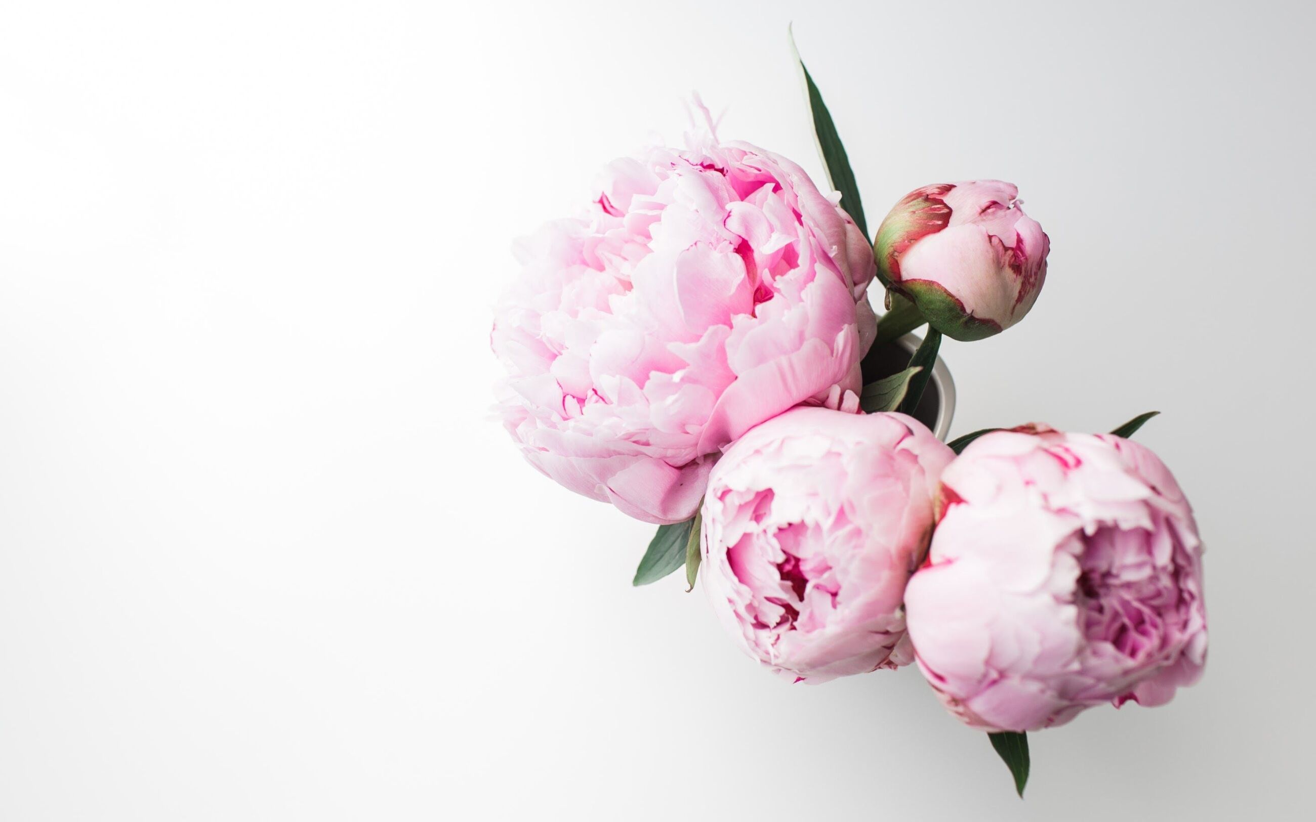 Happy Mothers' Day!