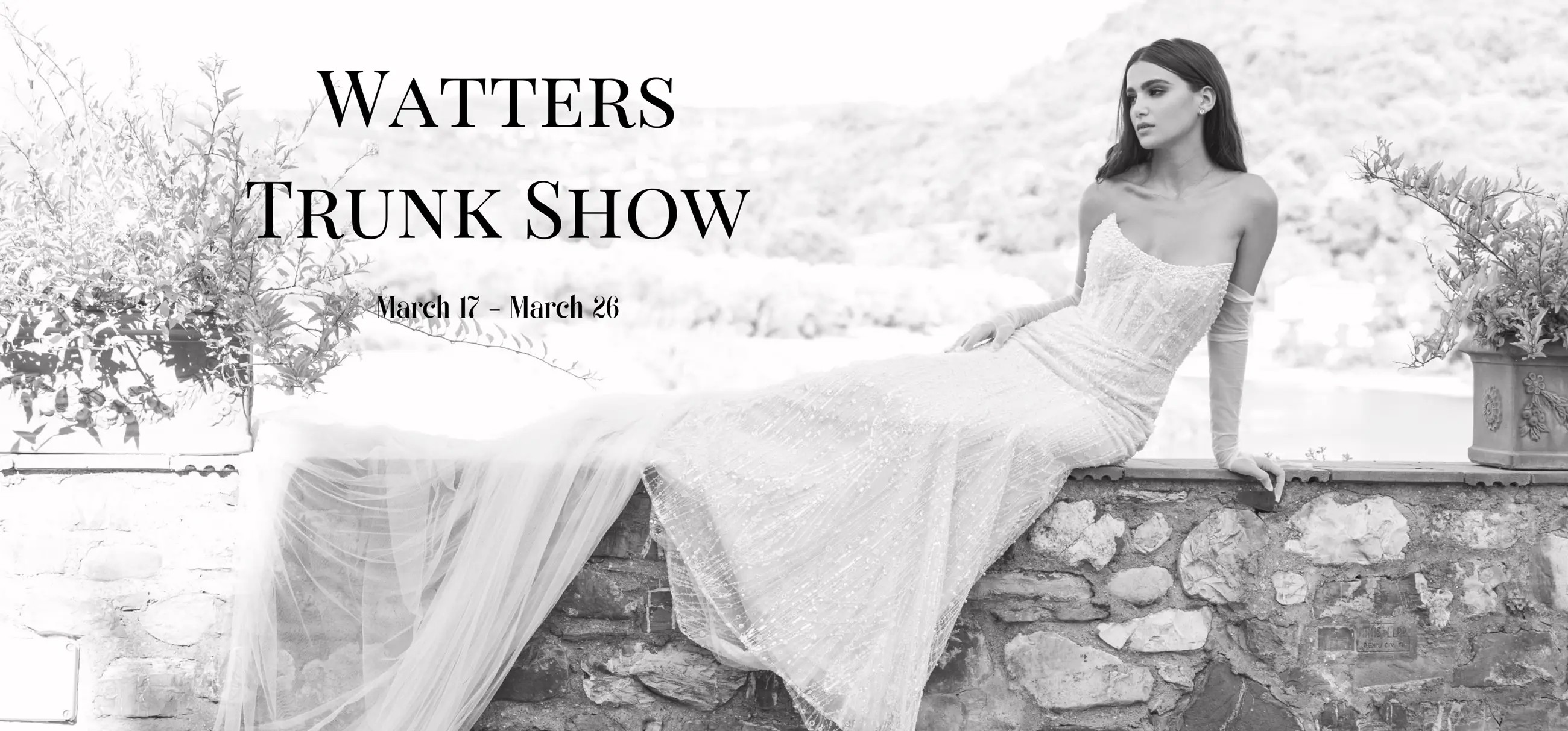 Willowby & Wtoo Trunk Show